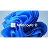 windows-11-home-ggk-64bit-english-1pk-dsp-ort-oei-dvd