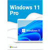 microsoft-windows-pro-11-64-bit-eng-intl-usb-rs