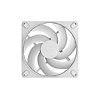 fd-momentum-14-white