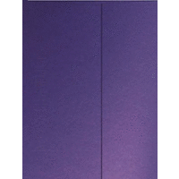 КАРТОН, ДВУСТРАНЕН,ПЕРЛЕН МЕТАЛИК  260 гр - VIOLET, PEARL A4