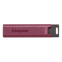 256GB USB3.2 DTMAXA KINGSTON