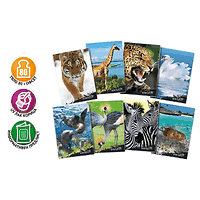 Тетрадка А4 UV World life, 42 л.ред, 80 г/м2