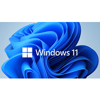 Windows 11 Home GGK 64Bit English 1pk DSP ORT OEI DVD