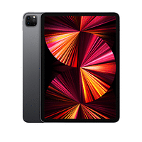 Apple 11-inch iPad Pro Wi-Fi 1TB - Space Grey