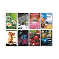 Тетрадка А4, S-line, 96 листа, ШР, 55g, твърди корици