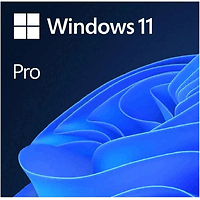 WIN 11 PRO 64BIT ENG USB FPP