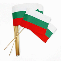 Хартиено знаме на България 30х18см 