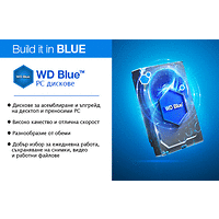 HDD 1TB WD Blue 3.5  SATAIII 64MB 7200rpm (2 years warranty)
