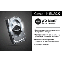 HDD 2TB WD Black 3.5  SATAIII 64MB 7200rpm (5 years warranty)