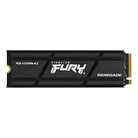 Kingston FURY Renegade 1TB Gen 4 Heatsink