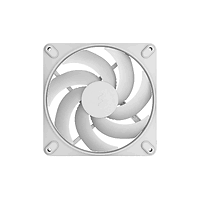 FD MOMENTUM 14 WHITE