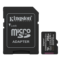 256G SDMIC KINGST SDCS3