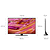 Samsung Neo QLED 50QN90F, Ultra HD 4K, Mini LED, Smart, HDR, 120Hz (Up to 165Hz) Model 2025