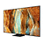 Samsung Neo QLED 75QN70F, Ultra HD 4K, Mini LED, Smart, HDR, 100Hz (Up to 144Hz) Model 2025