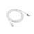 Lanberg patch cord CAT.6 FTP 0.5m